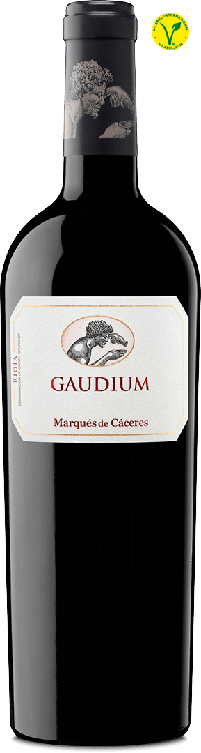 143050_MdC_Gaudium_075
