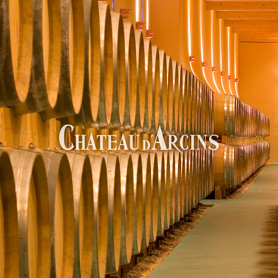 chateau d arcins logo chais
