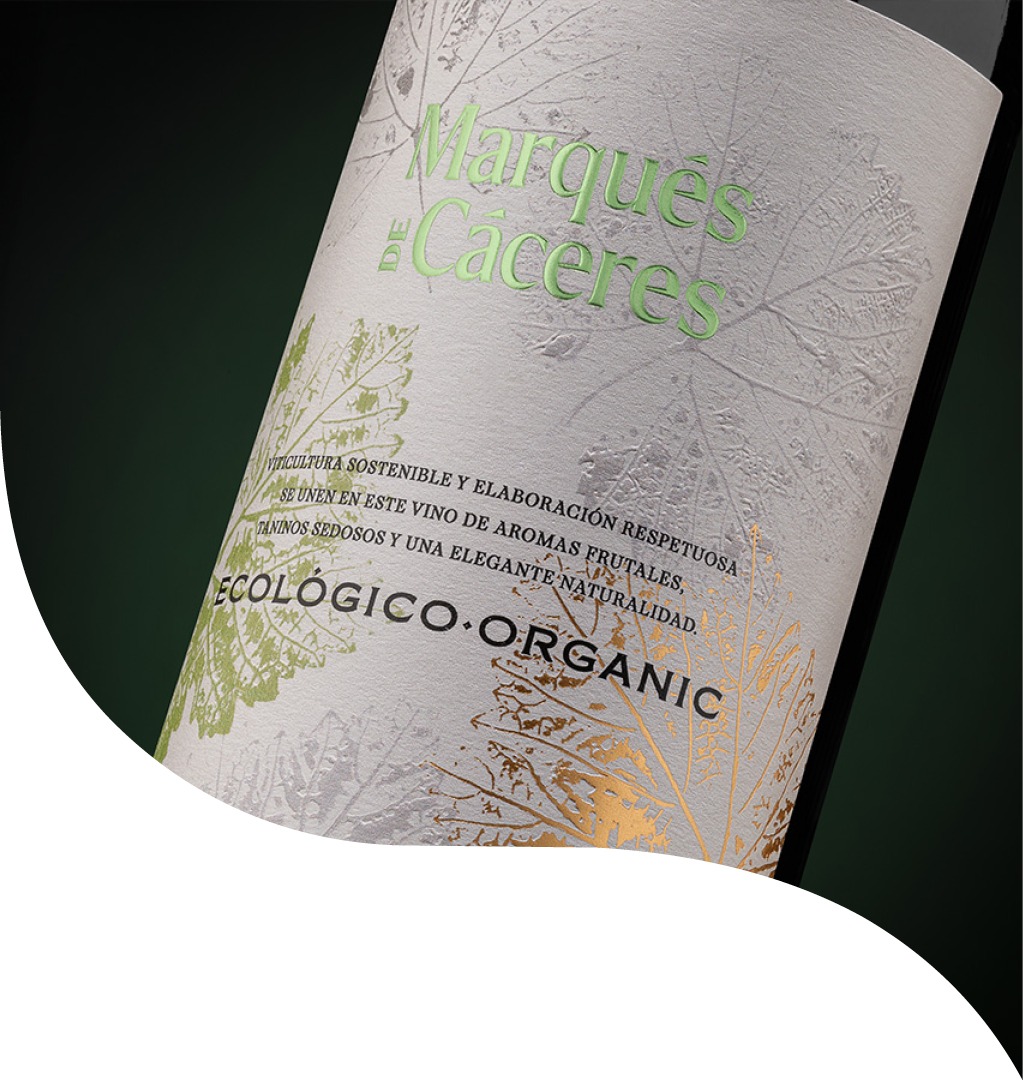 ecologico-mood-shape