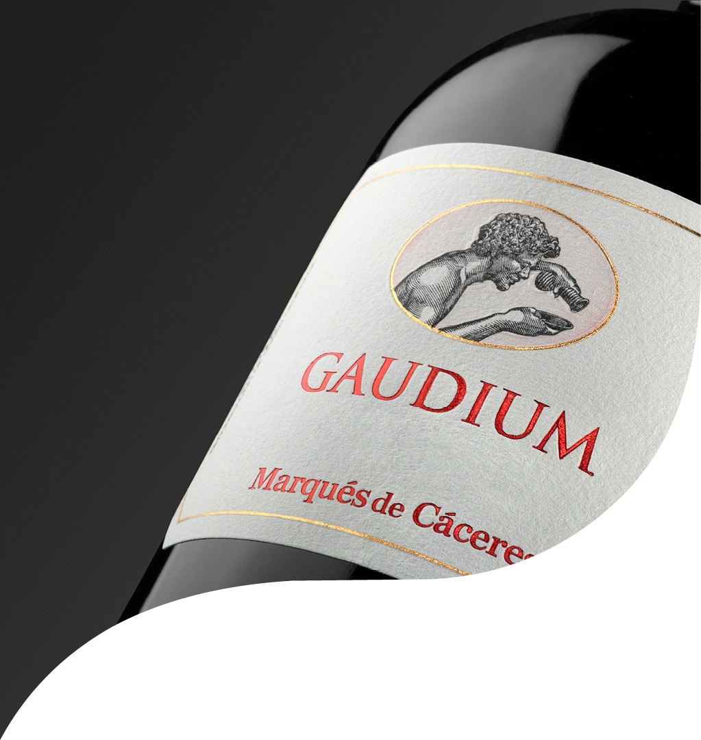 gaudium-mood-shape